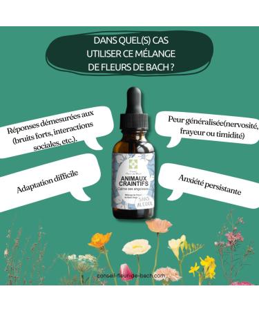 Floral Elixir for Fearful Animals "ALCOHOL-FREE" - This blend will allow your animal: To manage its fears its anxieties with more composure by remaining calm to soothe a shock. 30ML - Buy Online on GoSupps.com