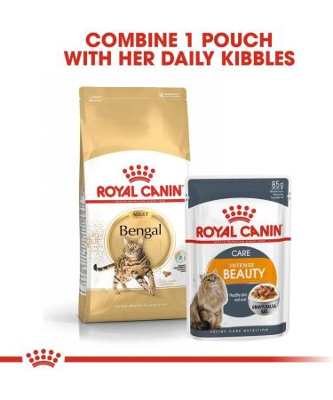 Royal Canin Bengal Cat Food 10 kg - Buy Online on GoSupps.com
