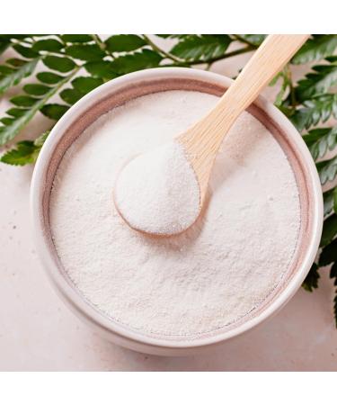 Earthborn Elements Borax with Tea Tree Oil - 1 Gallon Laundry Booster Refreshing Scent Bulk Size (128 oz - Buy Online on GoSupps.com