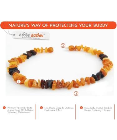 100% Baltic Amber Dog Necklace & Collar | Natural Tick Protection for Cats & Dogs | Authentic Lithuanian Amber - Buy Online on GoSupps.com