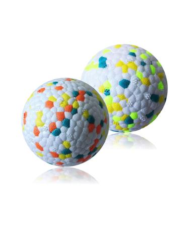 CAISHOW 2Pack Dog Ball Toys Indestructible Dog Ball Float On Water Fetch Bouncy Durable Solid Rubber Ball For Puppy Small And Medium Dogs Playing Toys (2Pcs-2.55'') B 2.55'' Green+Orange