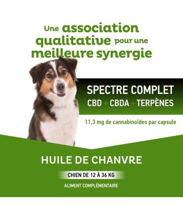 Cl ment Th kan - Hemp Oil for Dogs from 12 to 36 kg - Full Spectrum: CBD + CBDA + Terpenes - 45 Capsules - Buy Online on GoSupps.com