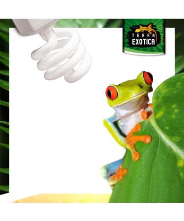 Terra Exotica Compact Daylight 2.0 UVB Lamp - 23W Energy-Saving Terrarium Light | UVB 2.0 5.0 8.0 & 10.0 Options Available - Buy Online on GoSupps.com