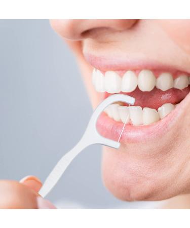 Dental Floss Picks 300pcs in 6-Pack with Portable Case - Professional Toothpicks for Family, Hotel, and Travel - Buy Online on GoSupps.com