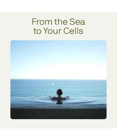 Nutriissa Full Spectrum Omega-3 2000 mg Oil Blend (Krill, Cod & Salmon Oil) 1175 mg Omega-3s (EPA, DHA & DPA) EPEB Certified, 3-Month Supply Heart, Brain & Joint Support 180 Halal Softgels - Buy Online on GoSupps.com