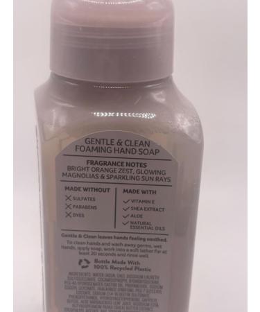 Chasing Daydreams Gentle Foaming Hand Soap - 8.75oz Pump Bottle | Luxury International Shipping - Buy Online on GoSupps.com