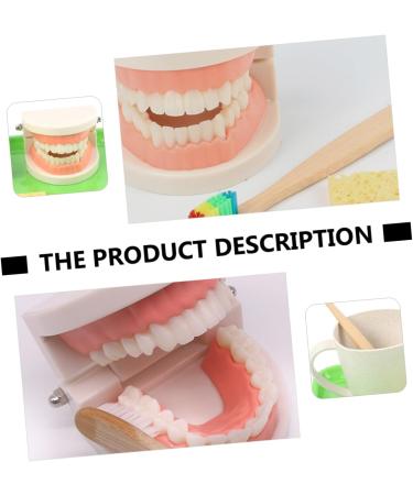 Shop Minkissy 3 Sets Early Dental Education Toys - Preschool Toiletries Puzzle & Abs Reusable | International Shipping Available - Buy Online on GoSupps.com