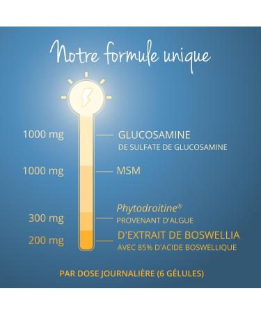 Glucosamine 1000 mg | With Chondroitin Vegan MSM Boswellia | Unique: The Only Vegan | Joint Bread | 120 Capsules | No Additives | Vegavero  - Buy Online on GoSupps.com
