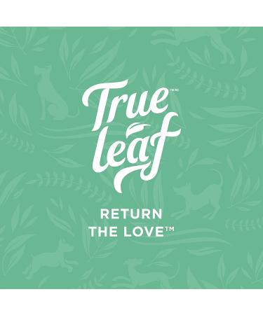 True Leaf Oil of Oregano Dental Gel 60ml - Promotes Healthy Teeth and Gums - Buy Online on GoSupps.com