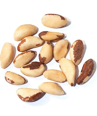 Organic Brazil Nuts 1lb - Non-GMO, Raw, Whole, Unsalted, Kosher - Vegan, Keto, Paleo Friendly - Bulk Trail Mix Snack - Selenium-Rich Superfood - Buy Online on GoSupps.com