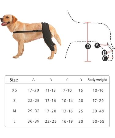 WOBBLO Support for Dog Knee Brace for Rear Leg | Pet Leg Wounds Protector Hip Joint Support Protects Wounds for Small and Medium Dogs - Buy Online on GoSupps.com