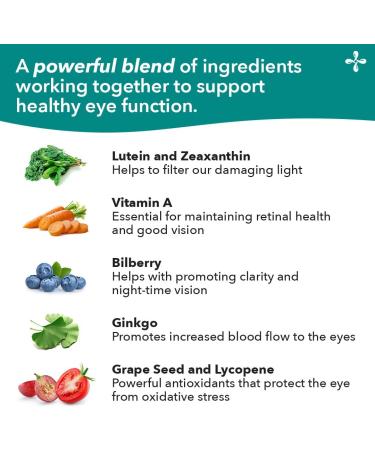 LifeSeasons Visibili-T with Bone Densi-T - Eye Health & Vision Support Supplement - Lutein Chromium Carrot Root Bilberry Ginkgo Biloba Grape Seed Extract Lycopene Vitamin A& more - 120 Capsules - Buy Online on GoSupps.com