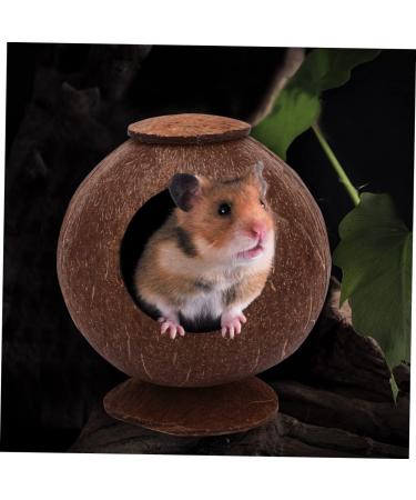 FOMIYES 2pcs Coconut Shell Charcoal Hamster Nest Small The Bed 16X15X15CMx2pcs Brownx2pcs - Buy Online on GoSupps.com