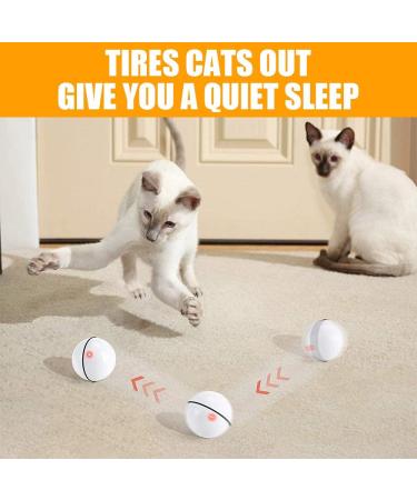 Smart Cat Ball Toy Interactive Cat Toys for Indoor Cats Adult Automatic 360 Rotating Kitten Toys with LED Light Stimulate Hunting Instinct - USB Rechargeable White - Buy Online on GoSupps.com
