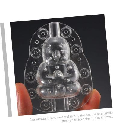 EXCEART 2pcs Vegetable Shaping Mold Vegetables Growing Fruit Mold Adorable Buddha Mold Pumpkin Multifunction Transparent 10x7cm - Buy Online on GoSupps.com