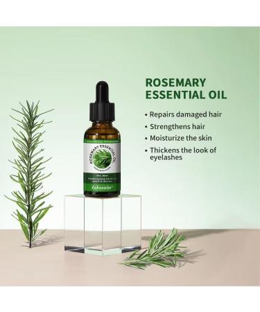100% Pure Organic Rosemary Oil for Hair Growth & Skin Care - Natural Hair Oil - Buy Online on GoSupps.com
