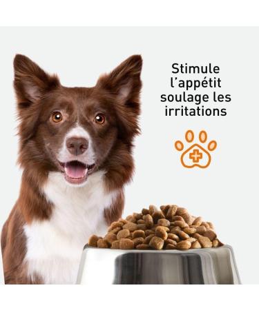 VetoNUT - Adult Dog Food - Small and Medium Breed - Natural Ingredients - Animal Proteins - Controlled Fat Content - Developed with Veterinarians - Nutritional Balance - 2.5kg - Buy Online on GoSupps.com