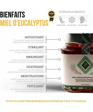 Miel d'eucalyptus du Maroc 300g 100% Naturel R colt dans la R gion de Souss Massa Draa un miel Rare et unique - Buy Online on GoSupps.com