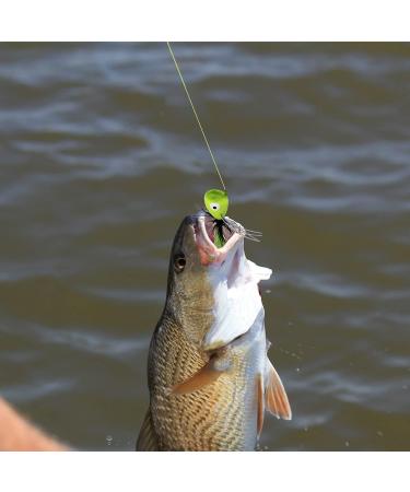 Pepo Fly Fishing Poppers - Topwater Lures for Bass, Crappie, Bluegill, Trout, Salmon - 10pcs - Buy Online on GoSupps.com
