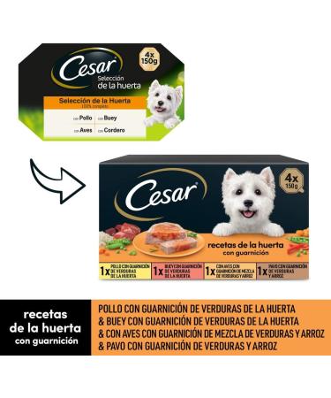 Cesar Wet Dog Food - Vegetable Garden Recipes in P t & Jelly 24-Pack (6 x 4 Cups 150g Each) - Premium International Shipping - Buy Online on GoSupps.com
