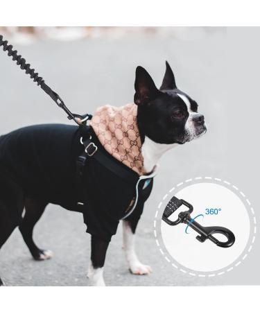 Snocyo Jogging Leash for Dogs | Elastic & Reflective Leash for Medium & Large Dogs | Double Handle & Waist Belt | Black & Blue - Buy Online on GoSupps.com