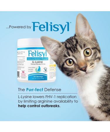 Felisyl L-Lysine Granules for Cats - Immune System Support - Supplement Support for Healthy Tissue Respiratory and Vision - Salmon-Flavored - Made in The USA - (1 Pack Granules (3.5 oz.)) - Buy Online on GoSupps.com