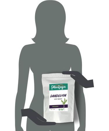 Plantagia Dandelion Root Cut Organic - 1kg / 2.2 Pounds 500+ Servings - Buy Online on GoSupps.com