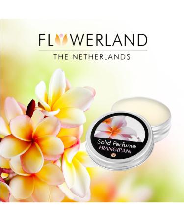 Flowerland Solid Perfume - Portable Pocket Balm Perfume Perfect for Travel Use - Natural Fragrance Parfum for Men and Women - Natural & Vegan - Frangipani (30ml) - Buy Online on GoSupps.com