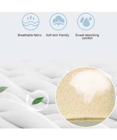 Toe Hammer Toe Correction Rail - Aluminum Plate for Plantar Fasciitis Relief | Sponge Composite Protection for Right Foot - Buy Online on GoSupps.com