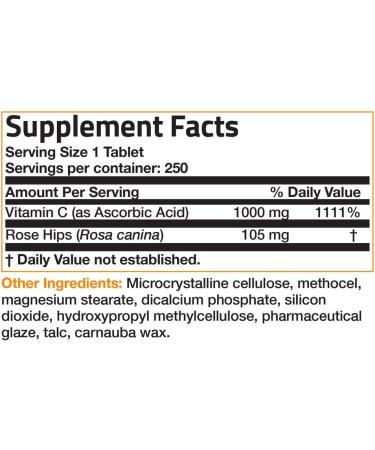 Bronson Vitamin C 1000mg with Rose Hips | Sustained Release 250 Tablets - Buy Online on GoSupps.com