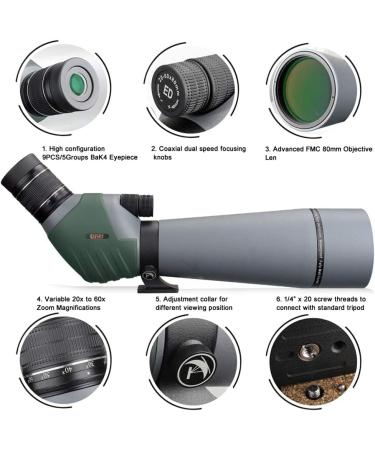 Gosky 20-60x80 Dual Focusing ED Spotting Scope with Smartphone Adapter | Ultra HD Optics for Bird Watching, Hunting, Astronomy | Includes Carrying Case - Buy Online on GoSupps.com