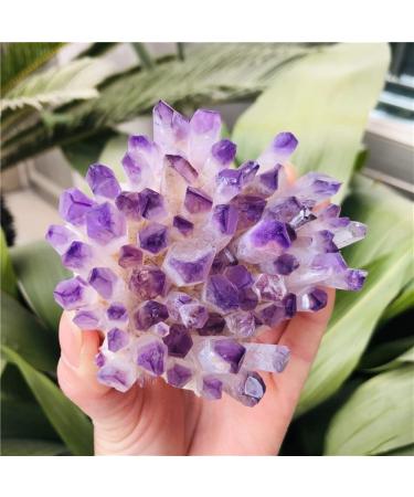 Natural Quartz Crystal 1pc Green Ghost Phantom Quartz Crystal Cluster Violet Rock Stones and Crystals Specimen Synthetic Quartz Home Office Decor ningxiao (Color : Purple Size : 300-350g) 300-350g Purple - Buy Online on GoSupps.com