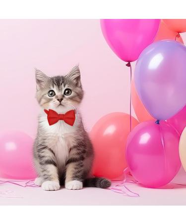 Buy Giantree Cat Collar Set - Adjustable Cat-Fly Neck Band with Bell for Small Pets | Perfect for Cats & Puppies (Red Black) - International Shipping Available - Buy Online on GoSupps.com