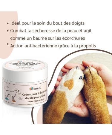 amusi Dog Pad Balm 100 ML - Dog Pad Protection with Calendula and Beeswax Healing and Repairing Function - Dog Pad Cream - Dog Truffle Balm - Buy Online on GoSupps.com