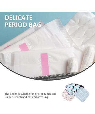 Ciieeo 4PC Makeup Brush Set with 2 Storage Bags - Women's Colorful Binding Pad - International Shipping - Buy Online on GoSupps.com