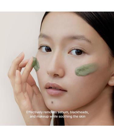 Salicylic Acid Green Tea + LHA Deep Pore Rice Cake Cleanser 5.07 fl oz - Buy Online on GoSupps.com