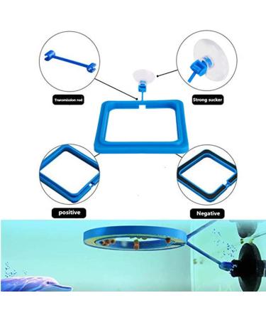 Fish Feeding Ring - Blue Floating Food Feeder with Suction Cup for Aquarium - Ideal for Guppy, Betta, Goldfish - Square and Round Shape Fish Tank Towels - Buy Online on GoSupps.com