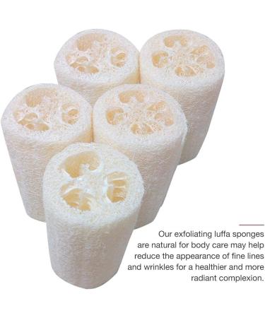 SmarTopus 5-Pack Premium Natural Loofah Sponges - Exfoliating Body Scrubber for Bath, Spa, Shower - Kitchen, Bathroom Dishes - Eco-Friendly - Buy Online on GoSupps.com