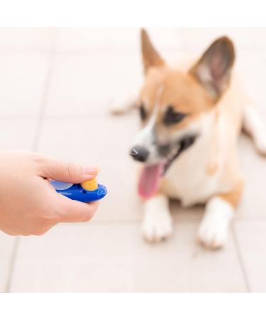 Puppy Clicker for Obedience Training Perfect for Pets Puppies Cats & Dogs in Dark Orange - Buy Online on GoSupps.com