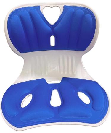 MERIGLARE Lumbar Support Pillow for Sitting Comfort Blue - Buy Online on GoSupps.com