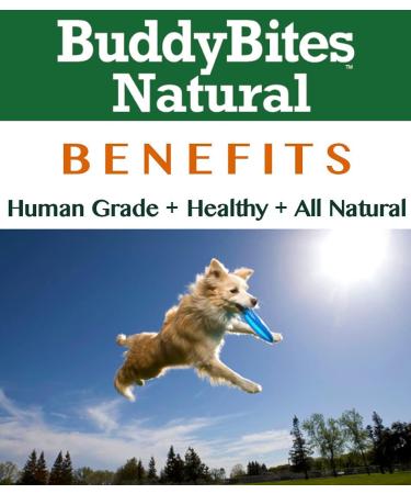 Pure Liver Sprinkles | Buddy Bits Beef Liver Powder for Dog Food Topper | Add to Food Helps Eating and Appetite | Made in Canada Large Bag - Buy Online on GoSupps.com