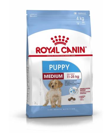 Royal Canin Medium Junior M Long 1 kg (Pack of 1)
