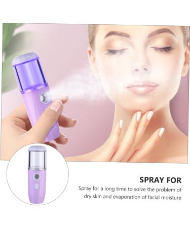 Beavorty 2 pcs Hydrating instrument facial steamer small steamer face steamer for facial Face Sprayer spa 10X3.5X3.5cmx2pcs Purplex2pcs - Buy Online on GoSupps.com