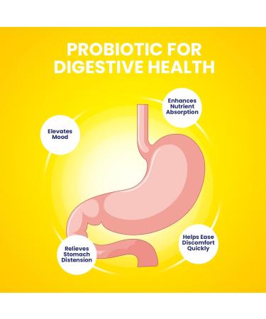 Indelo VivoGut Capsules Vivo Gut Pills All-Natural Daily Supplement Digestive Support Gut Wellness Pastillas Review (1 Pack - 60 Capsules) - Buy Online on GoSupps.com