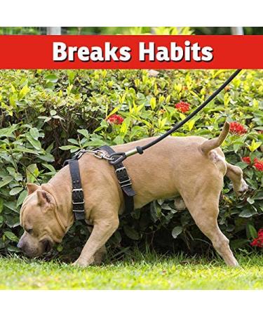 I Must Garden Dog and Cat Repellent 32oz Easy Spray - All Natural Solution to Stop Chewing and Repel Pets from Yards, Plants, and Gardens - Buy Online on GoSupps.com