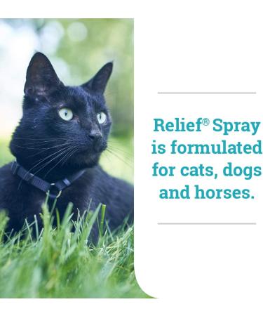 8 oz Relief Spray for Dogs, Cats, and Horses - Temporary Itch and Flake Relief - Buy Online on GoSupps.com
