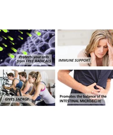 Immunia Synergy Elderberry Supplement for Immune Support - Antioxidant Rich Blend with Canadian Elderberries - Buy Online on GoSupps.com