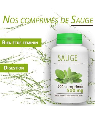 Sage - 500 mg - 200 tablets - Buy Online on GoSupps.com