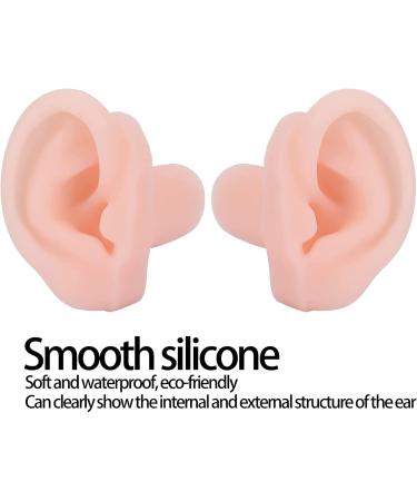Buy Ktrok Silicone Ear Model for Acupuncture & Hearing Aid Training - Flexible Soft & Ideal for Display - Buy Online on GoSupps.com