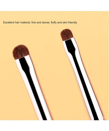 Eye Shadow Brush Kit Easy Apply Comfortable Grip Ergonomic Handle Detail Makeup Brush Kit 4pcs Moderate Texture Soft Hair for Home Use - Buy Online on GoSupps.com